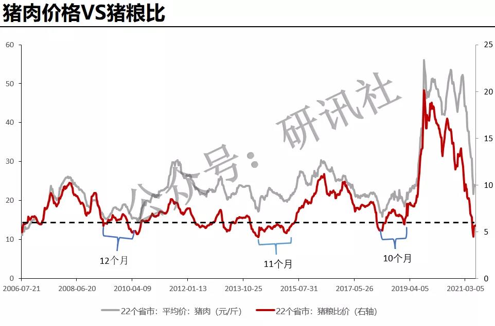 明日豬價(jià)行情分析與展望