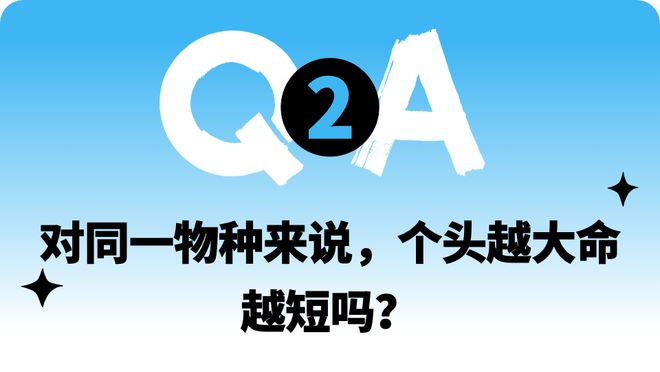 趣問最新版本，探索新知，引領(lǐng)未來風潮