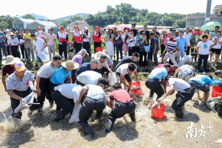 韶關(guān)金色江灣最新動態(tài)深度解析