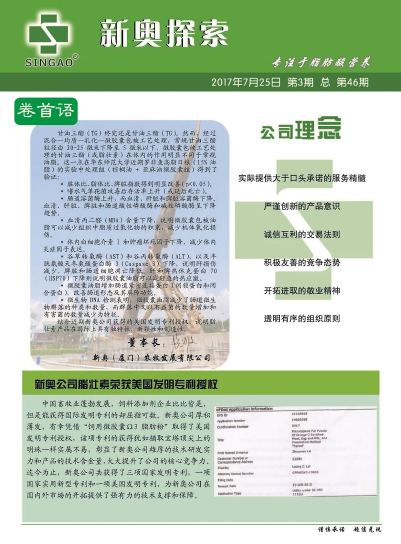 揭秘2024新奧精準(zhǔn)正版資料，全方位解讀與應(yīng)用策略指南