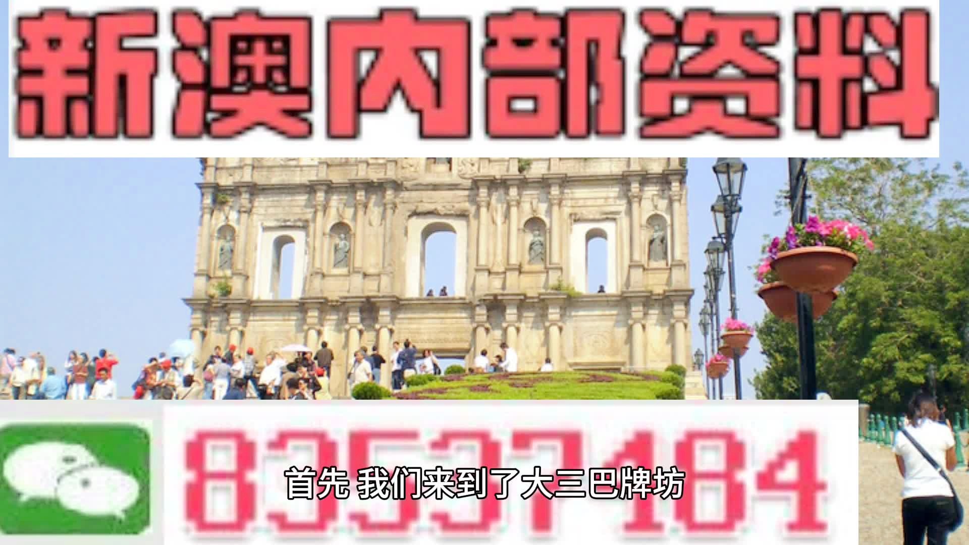 新澳2024年開獎記錄深度解析