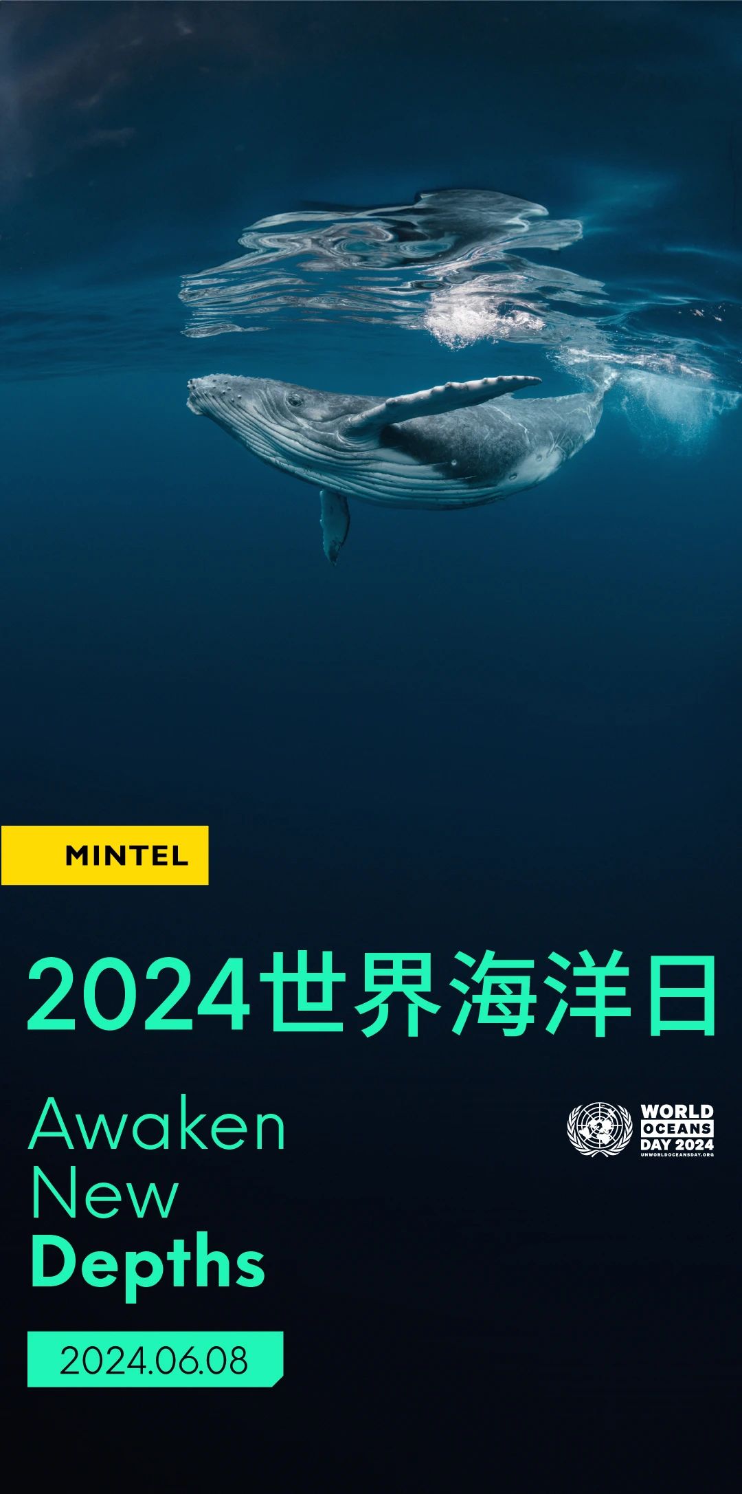 探索2024新浪正版免費資料寶庫