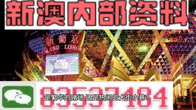 新澳2024年精準資料期期，揭秘彩票未來世界的奧秘與機遇