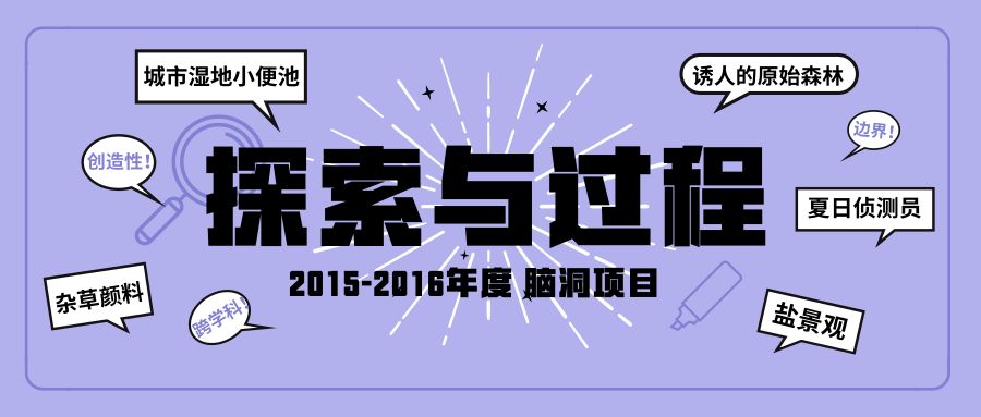 探索幸運(yùn)之門，新澳今晚開獎(jiǎng)號(hào)碼預(yù)測(cè)與期待揭秘