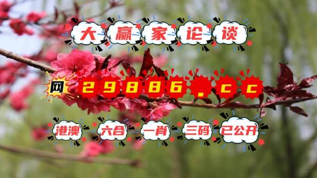 澳門生肖一碼揭秘，神秘屬性與精準預(yù)測攻略