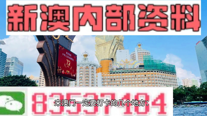 揭秘2024新澳門天天彩期期精準(zhǔn)背后的犯罪問題探究