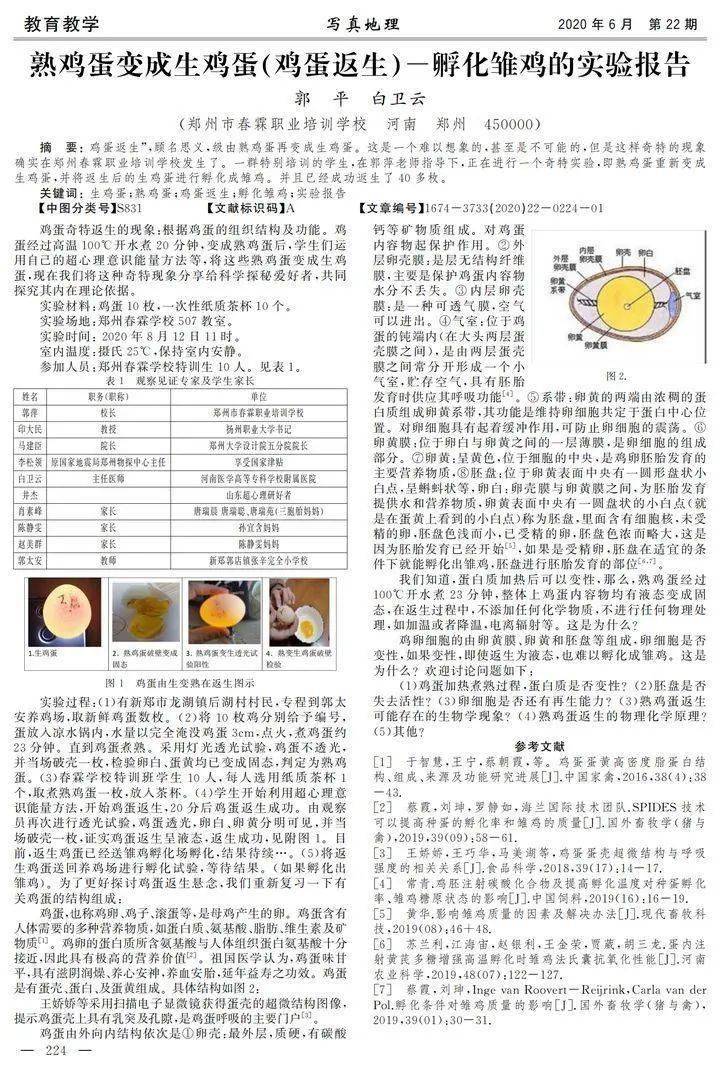 新奧好彩免費(fèi)資料查詢，深度探索與解析