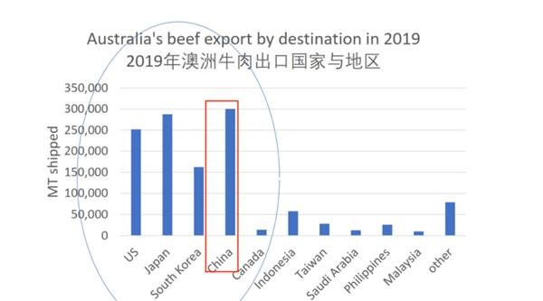 揭秘新澳未來趨勢(shì)，精準(zhǔn)資料掌握成功之鑰（2024版）