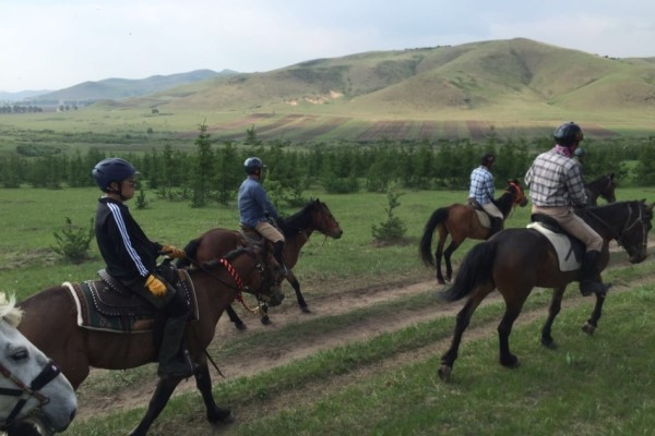 澳門特馬今晚開獎圖紙，涉及違法犯罪的警示文章