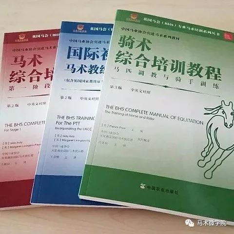 馬術運動與現(xiàn)代科技的融合魅力，馬會傳真探索之旅