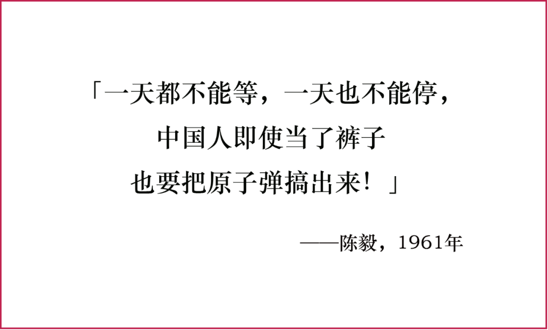 內(nèi)部資料一肖一碼揭秘，背后的秘密與價(jià)值探究