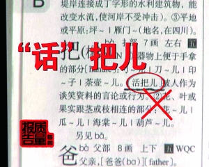 澳門三肖三碼與新華字典，犯罪行為的警示與反思探討