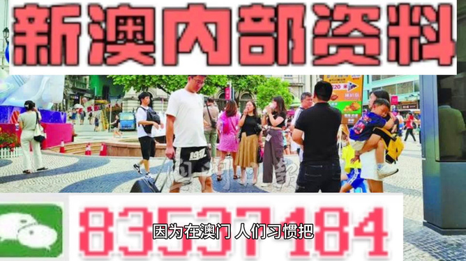 2024新澳未來探索指南，精準資料大全