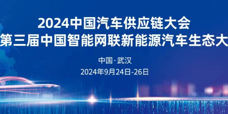 2024新澳精準資料大全，深度探索與解析