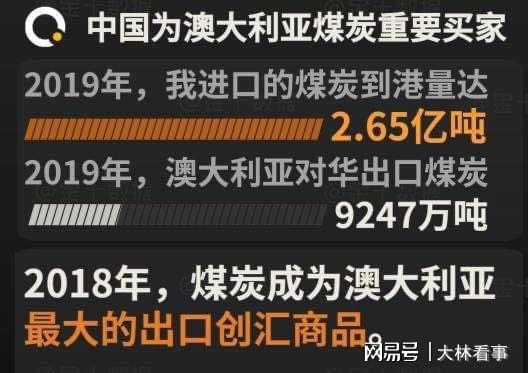 新澳內(nèi)部一碼精準公開揭秘與警示，真相背后的真相及警示分析