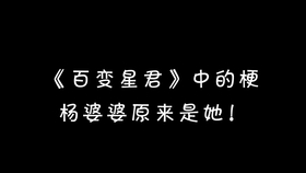 揭開犯罪面紗，管家婆一碼一肖必開真相揭秘