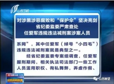 澳門正版資料免費大全新聞，揭示違法犯罪問題的重要性與影響