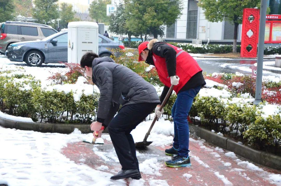 最新校園集結(jié)號下載，探索全新校園生活模式