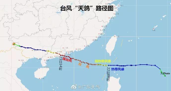 天天鴿臺風(fēng)最新動態(tài)，分析、應(yīng)對策略及實時消息更新