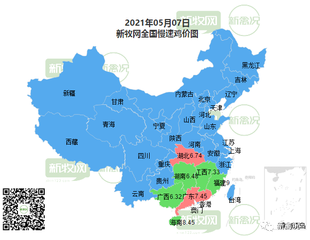 廣東最新雞價動態(tài)分析報告揭曉，新牧網(wǎng)最新數(shù)據(jù)發(fā)布