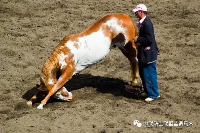 澳門馬會特馬猜測與警示，理性預測，警惕風險