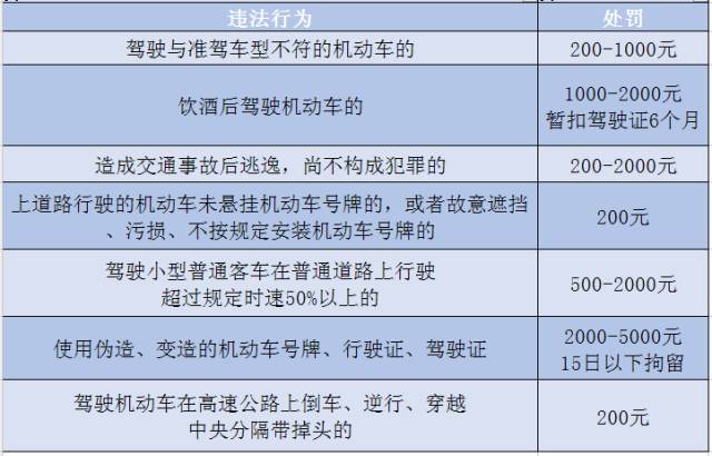 浙江司機最新招聘信息全面解析