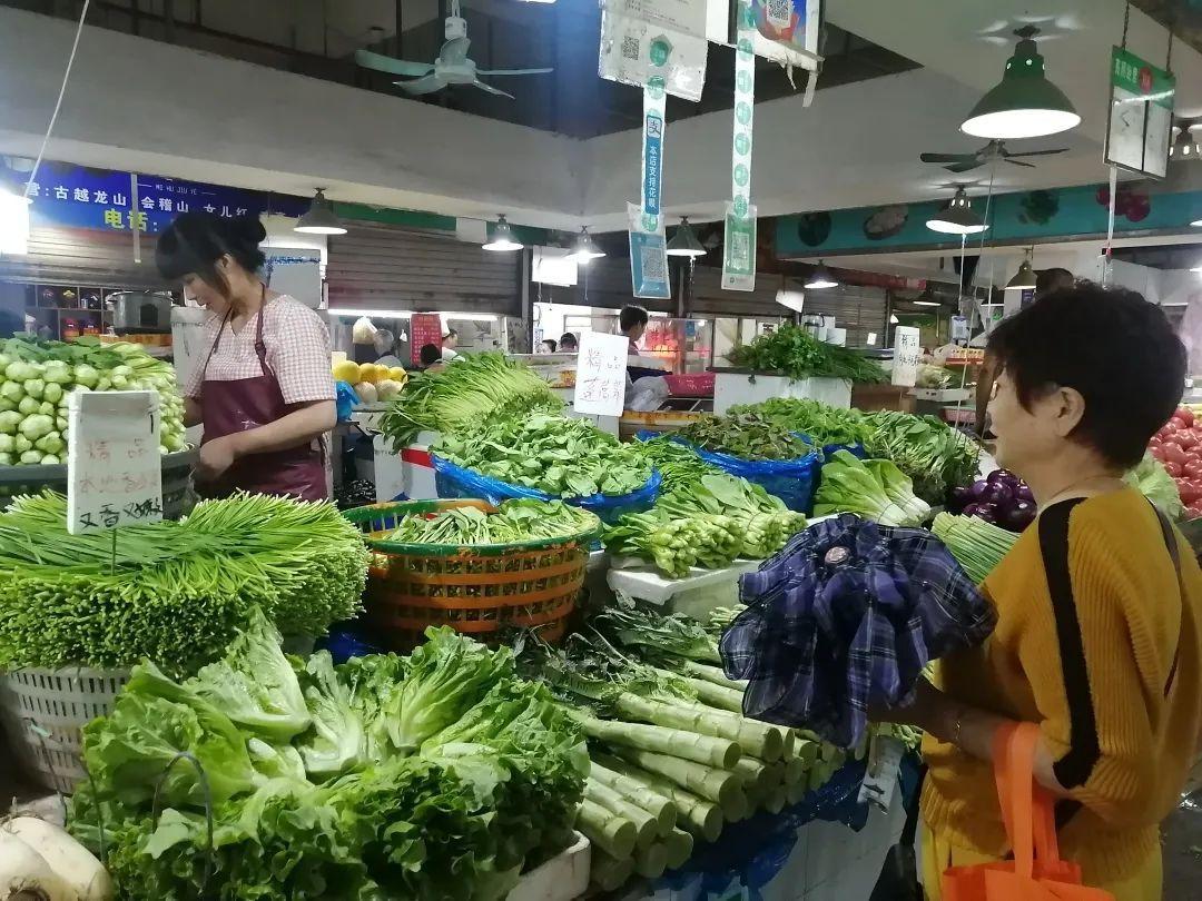 空心菜批發(fā)最新價格走勢及分析摘要